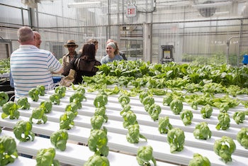 group of people in greenhouse with plants