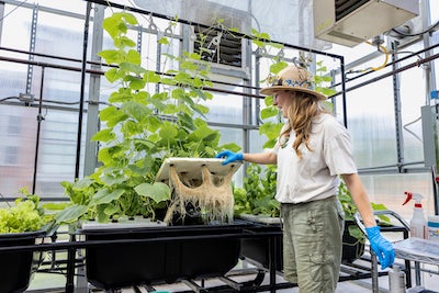 woman showing the hydroponic root system