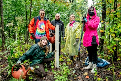 people standing in a grove of trees in the rain