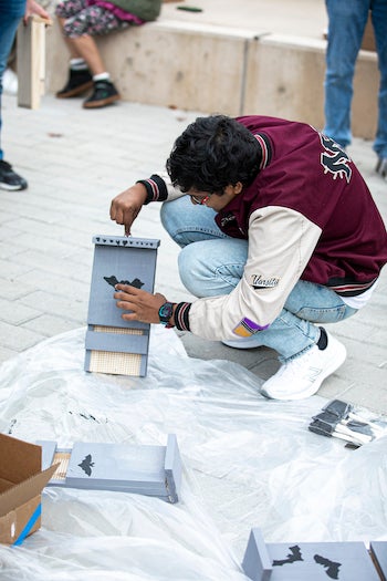 students building a bat box