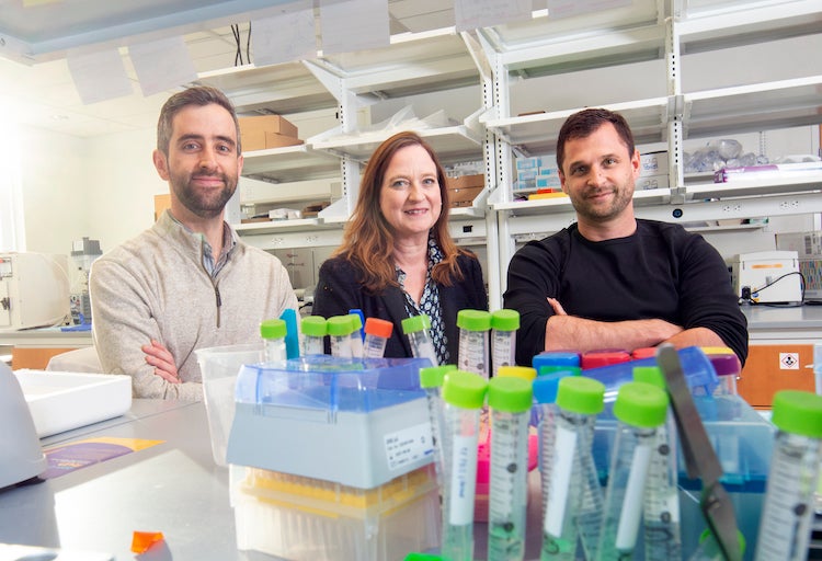 two men and one woman in a lab