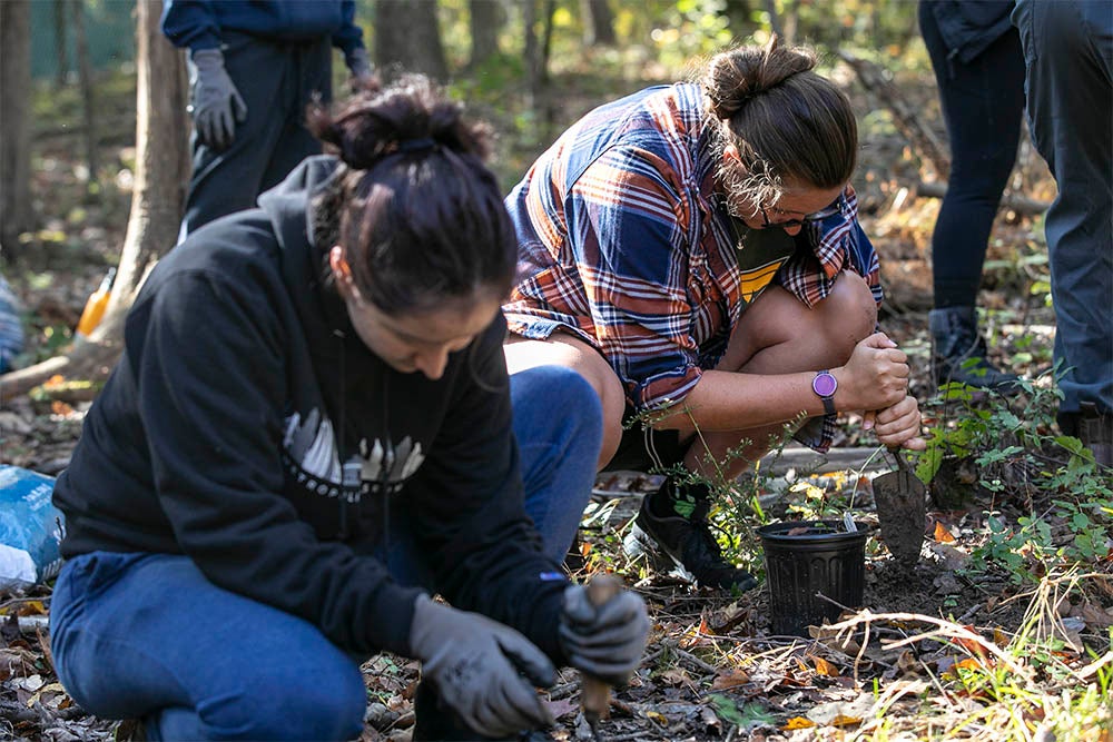 Volunteers plant perennials at the Forensic Science Research and Training Laboratory in support of ongoing research to determine if traces of human remains can be identified in the plants or in the honey produced by pollinators