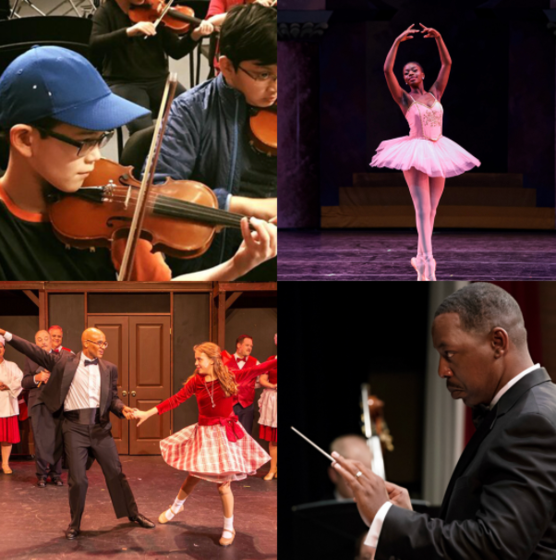 Arts Alliance image