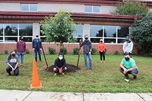 TH-edited-Efid-tree-planting