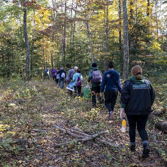 Honey bees and their honey could help lead to critical advances in forensic science.